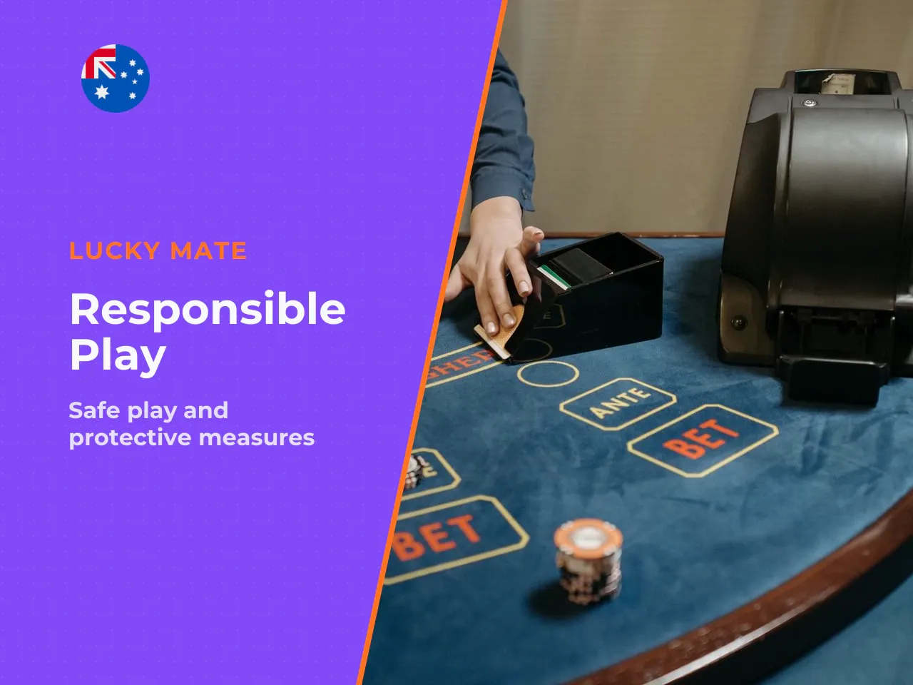 The Problem Gambling Severity Index PGSI